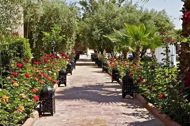 Jardin en fleurs à Marrakech au printemps